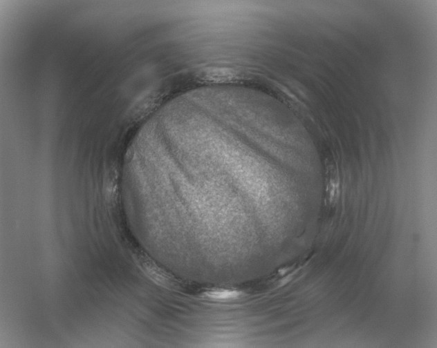 X0000054440507200508121848