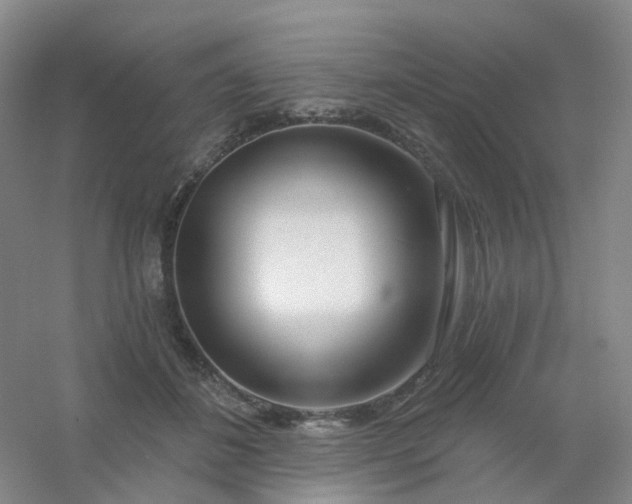 X0000054440508200508121848