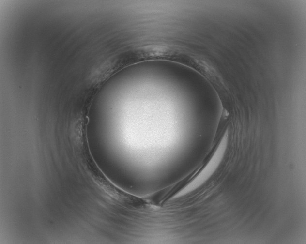 X0000054440509200508121848