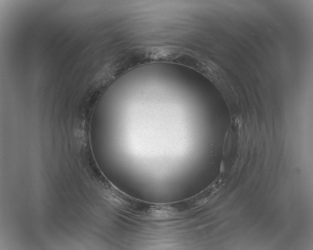 X0000054440510200508121848