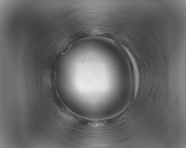 X0000054440512200508121848