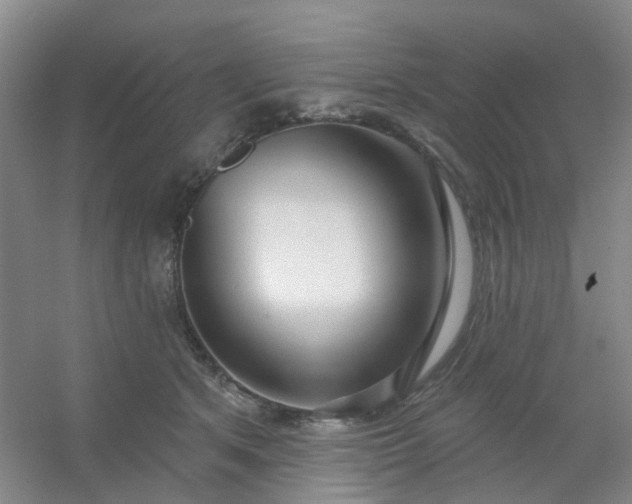 X0000054440513200508121848