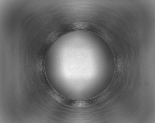 X0000054440514200508121848