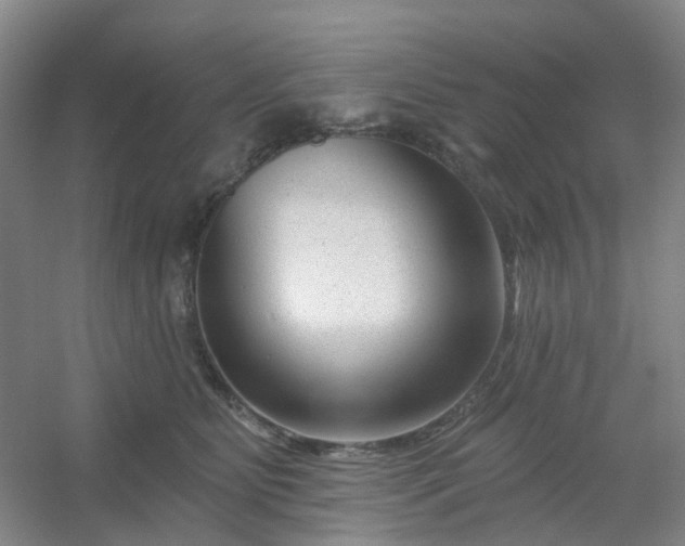 X0000054440515200508121848