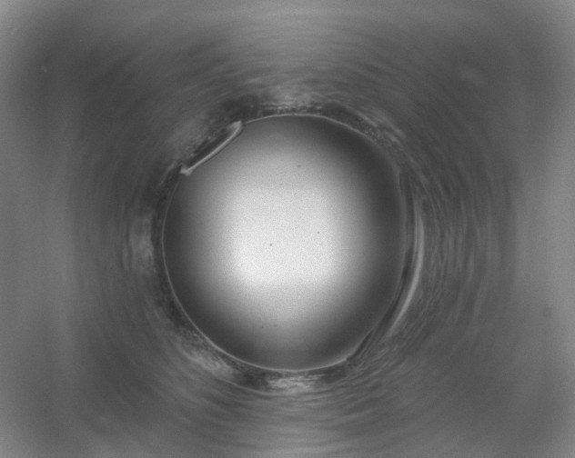 X0000054440516200508121848