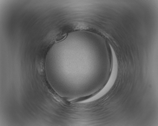 X0000054440517200508121848