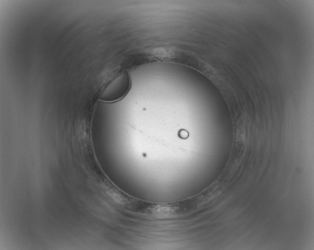 X0000054440518200508121848