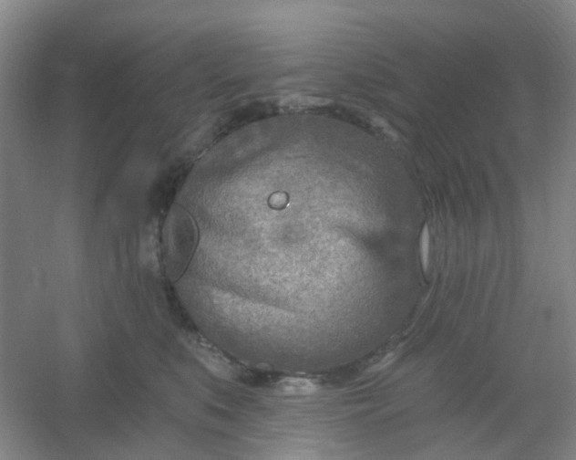 X0000054440519200508121848