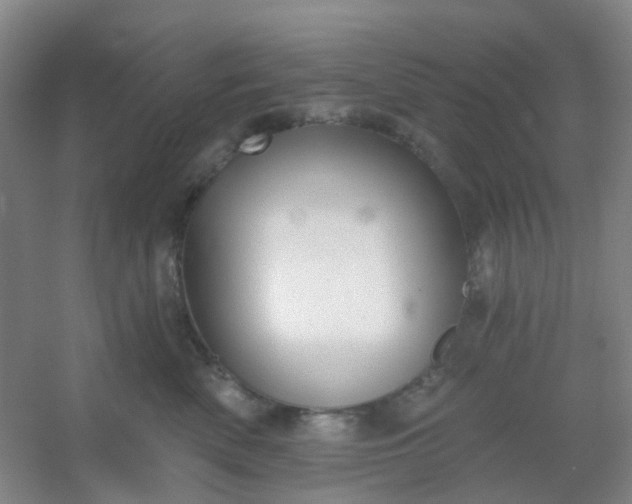 X0000054440522200508121848