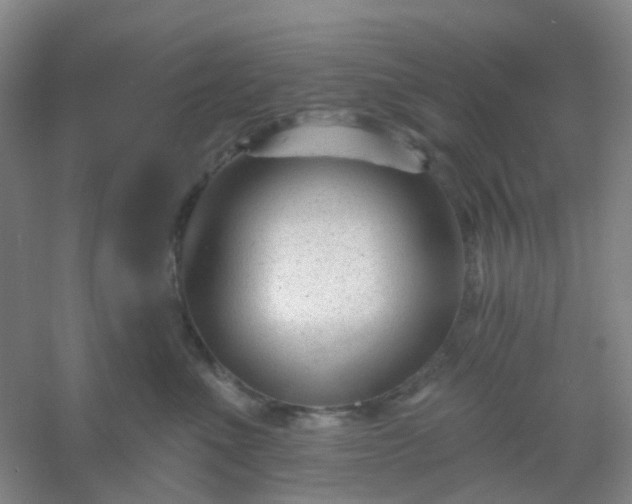 X0000054440523200508121848