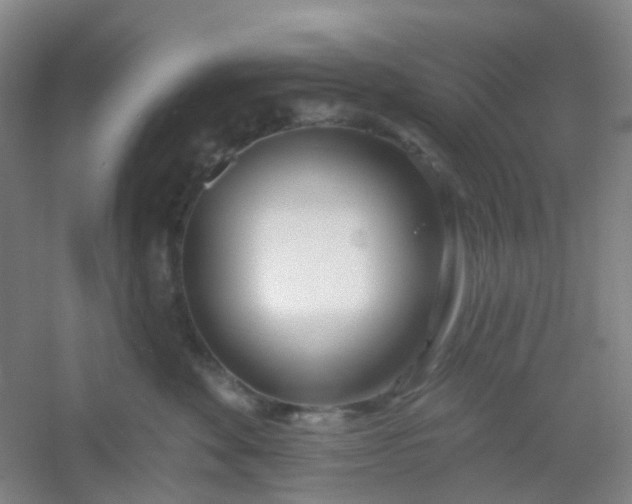 X0000054440524200508121848