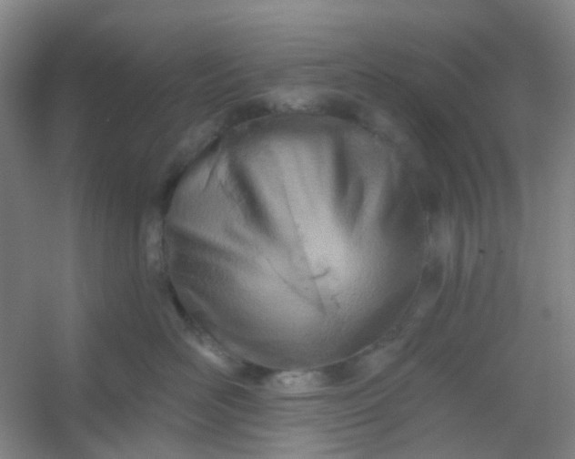 X0000054440526200508121848