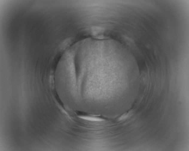 X0000054440527200508121848