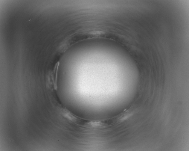 X0000054440528200508121848