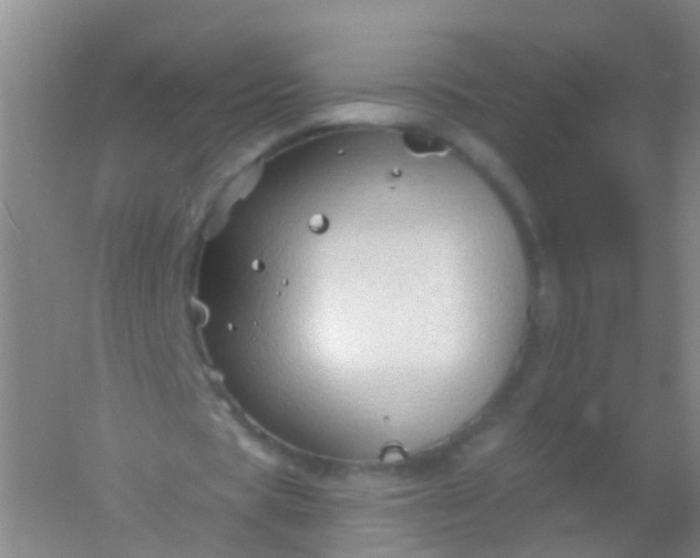 X0000054440529200508121847