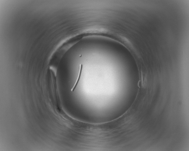 X0000054440531200508121847