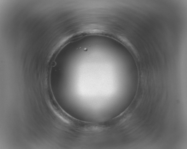 X0000054440533200508121847