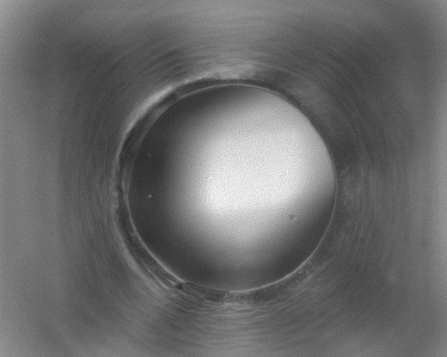 X0000054440536200508121847