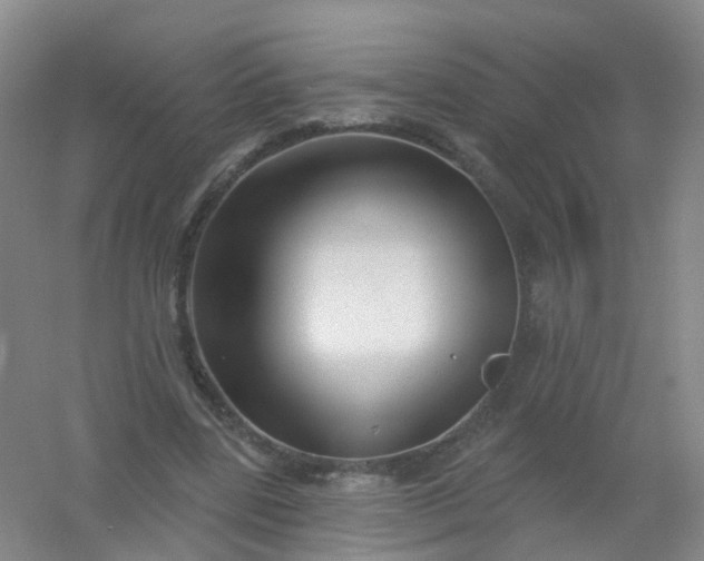 X0000054440539200508121847