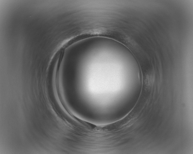 X0000054440540200508121847