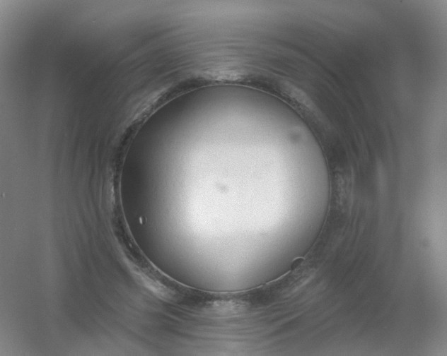 X0000054440541200508121847