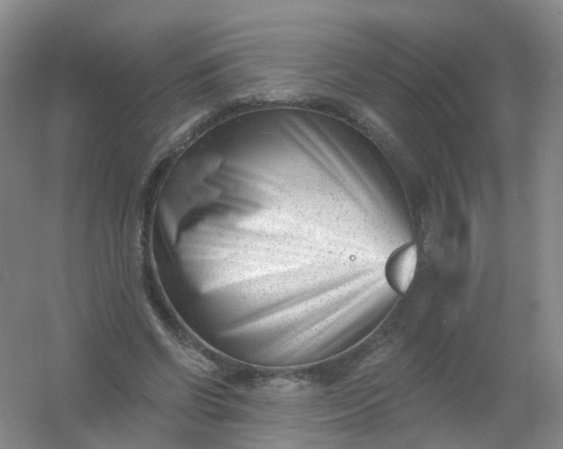 X0000054440542200508121847