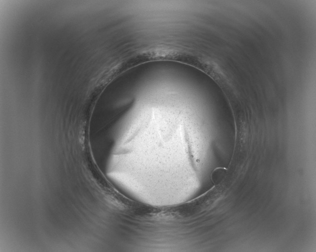 X0000054440545200508121847