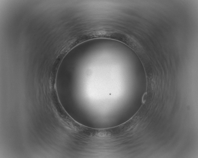 X0000054440546200508121847