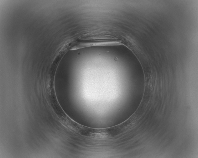 X0000054440548200508121847