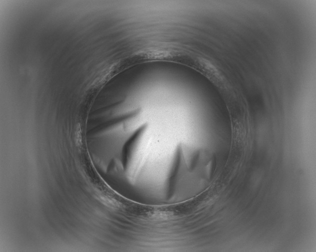 X0000054440549200508121847