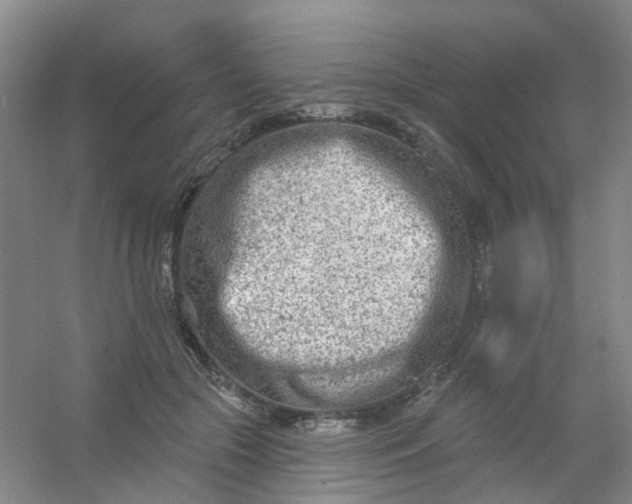 X0000054440553200508121847