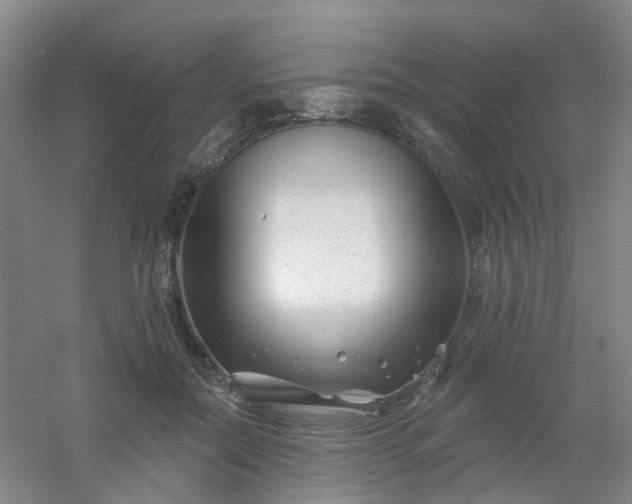 X0000054440554200508121847