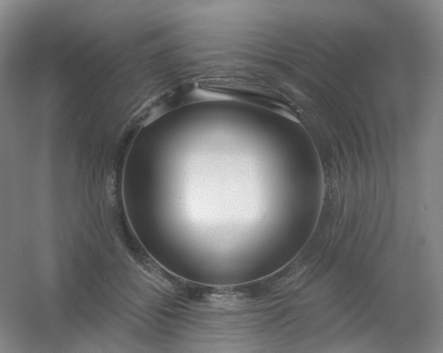 X0000054440556200508121847