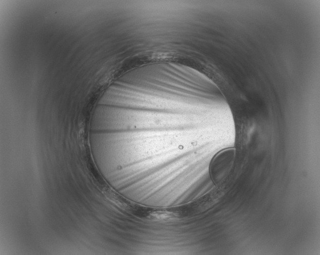 X0000054440557200508121847