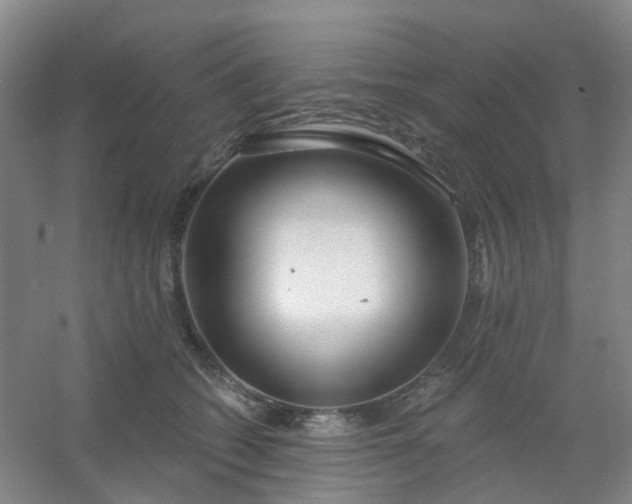 X0000054440562200508121847