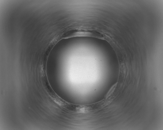 X0000054440564200508121847