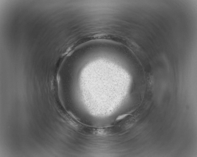 X0000054440565200508121847