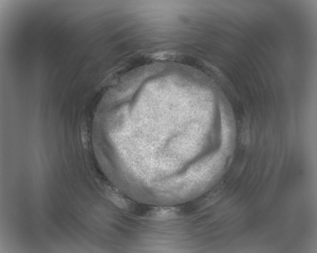 X0000054440569200508121848