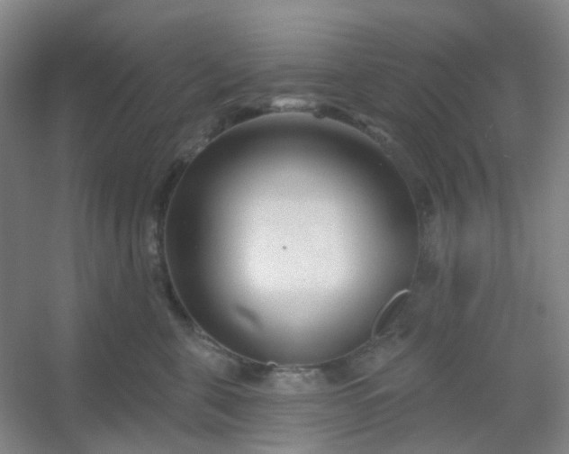 X0000054440571200508121848