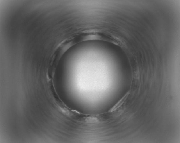 X0000054440572200508121848