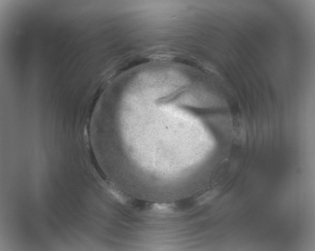 X0000054440573200508121848