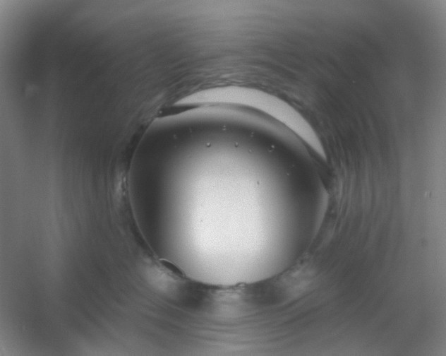 X0000054440574200508121848