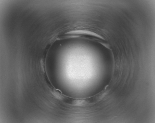 X0000054440575200508121848