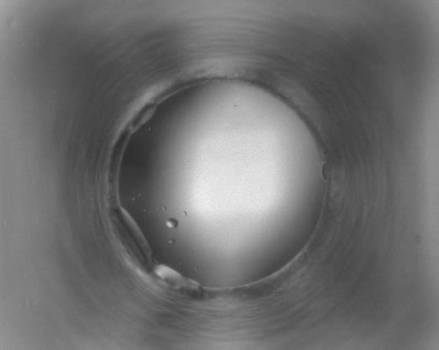 X0000054440578200508121847