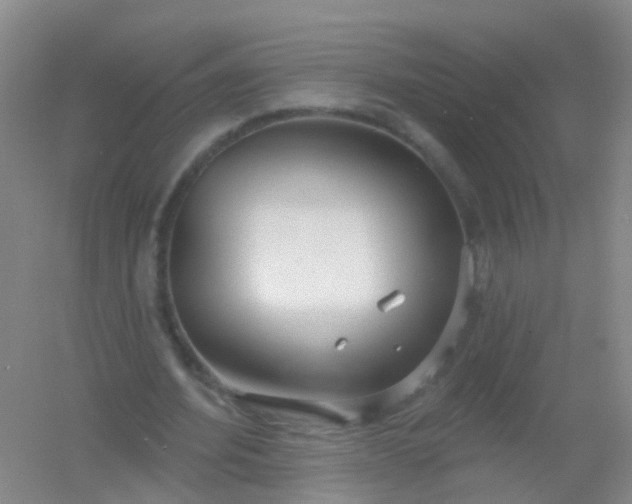 X0000054440580200508121847