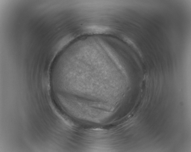 X0000054440582200508121847