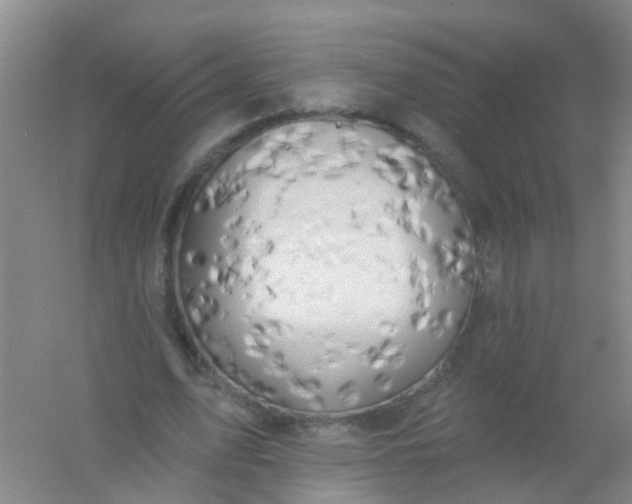 X0000054440583200508121847