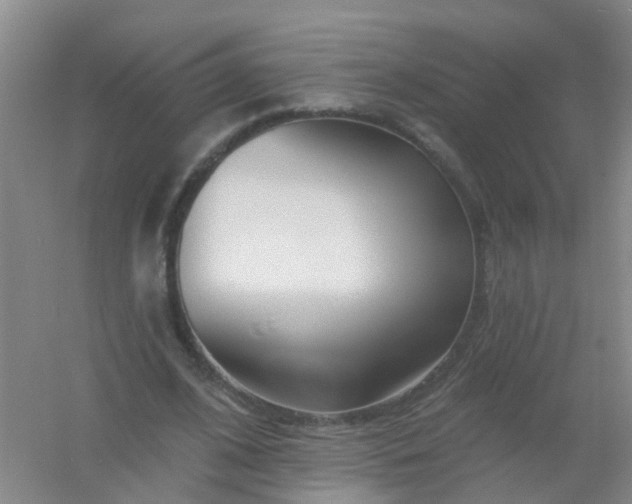 X0000054440584200508121847