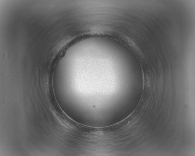 X0000054440588200508121847