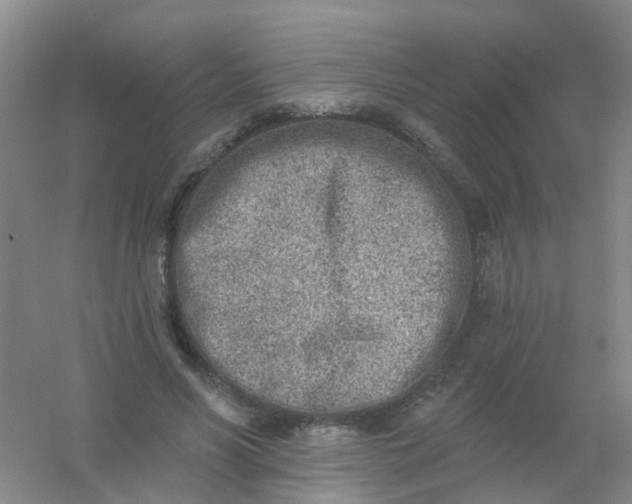 X0000054440590200508121847